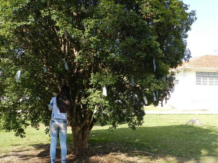 Nome das pessoas que doaram foram pendurados nas árvores do campus Pinheiral
